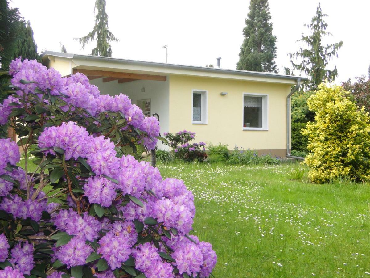 Дом отдыха Sommerhaus Im Gruenen *