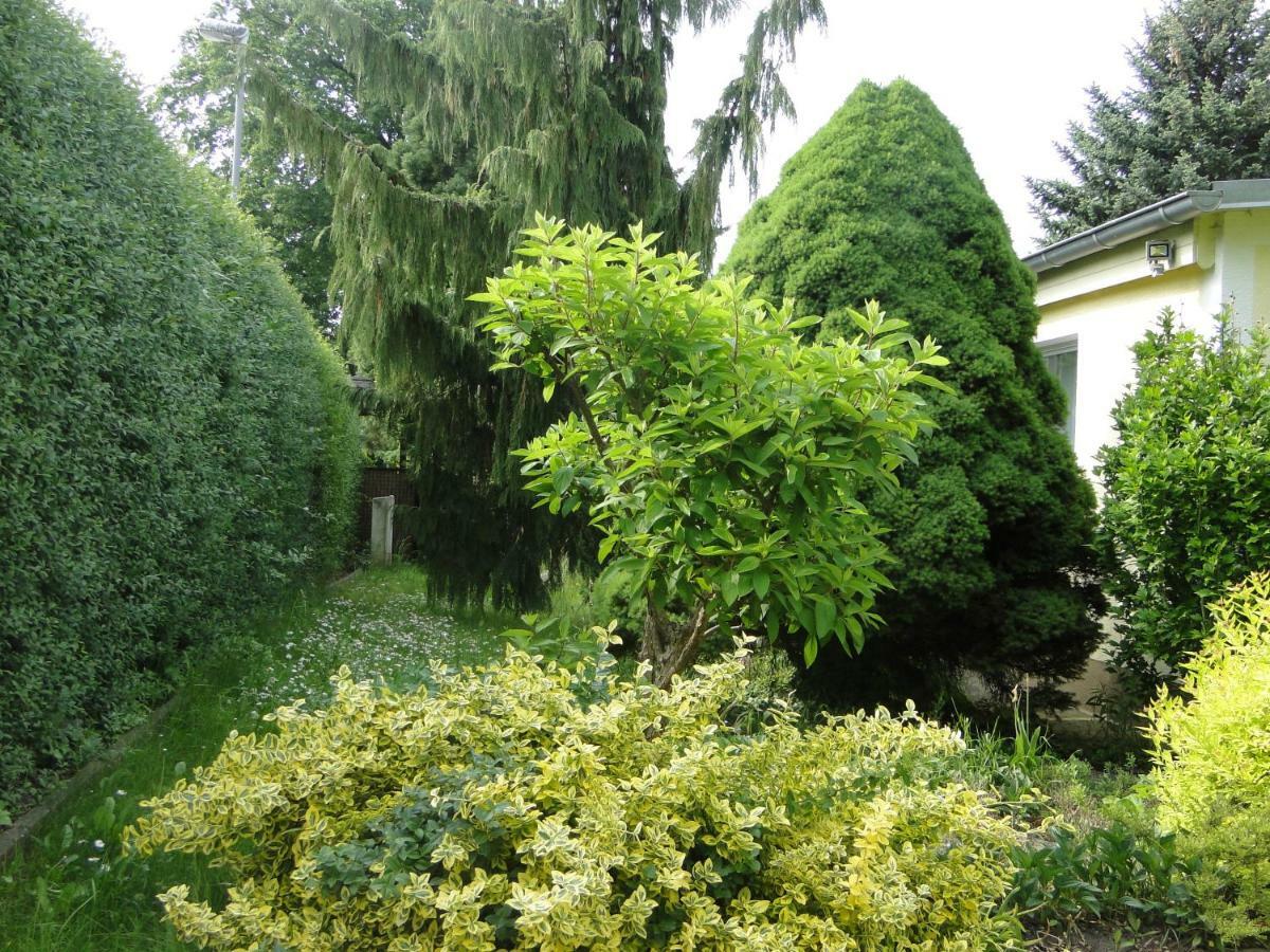 Sommerhaus Im Gruenen Дом отдыха